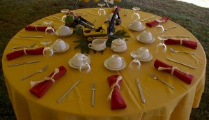Country Wedding with Tractor Centerpiece