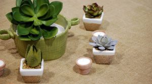 burlap with small cactus