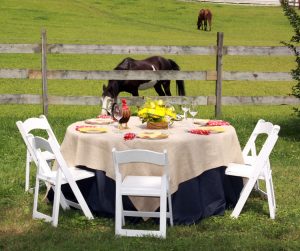denim and burlap linen