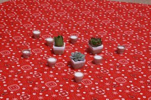 red bandana with small cactus