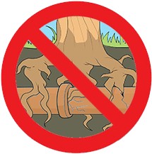 Not for roots or clay pipe