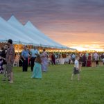 40x120 Century Pole Tent