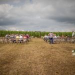 Samsonite Folding Chairs at Wedding Ceremony