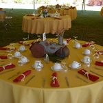 Table Setting- No Dishes